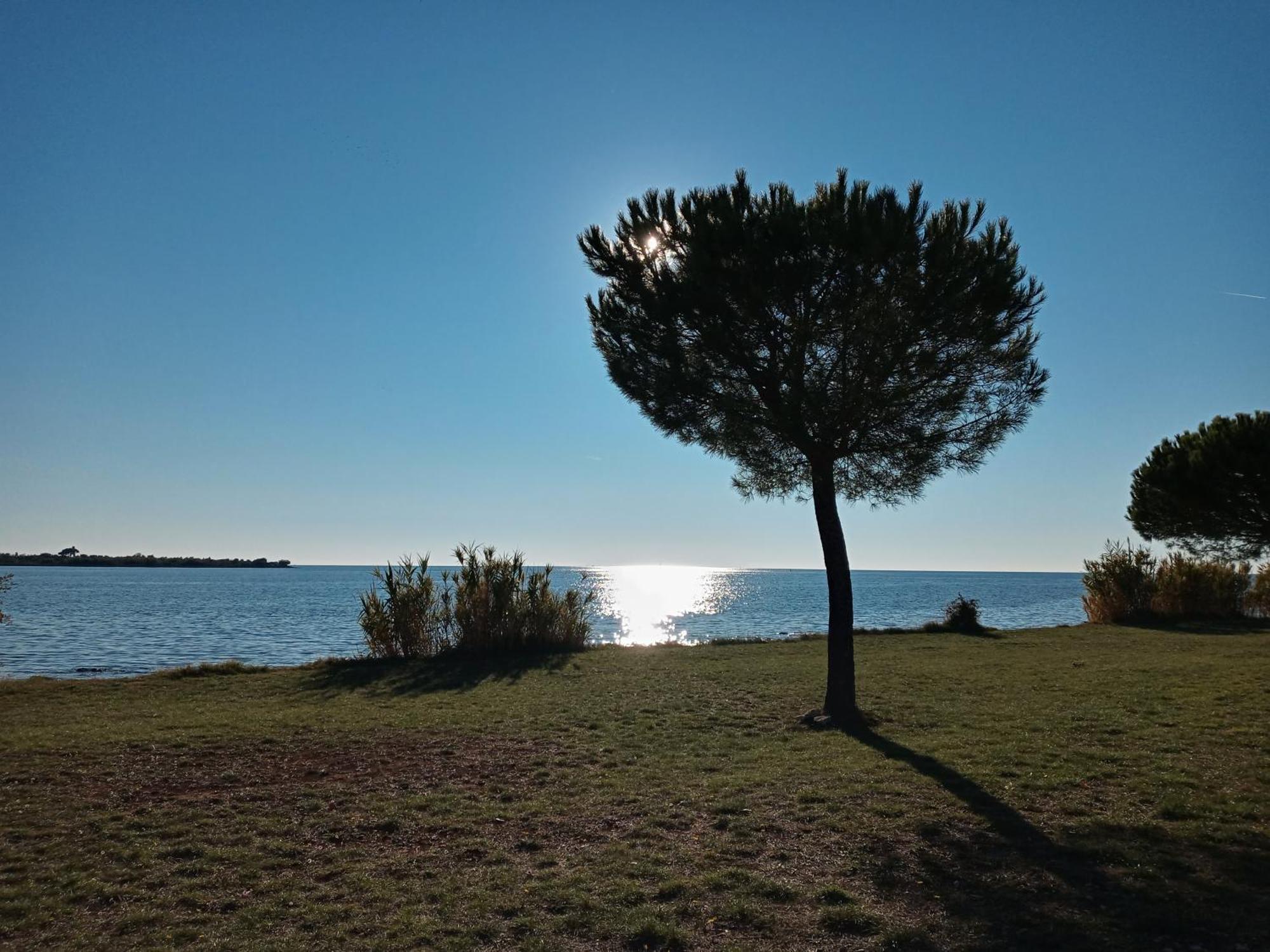 Sole 1 Apartment Novigrad  Exterior photo