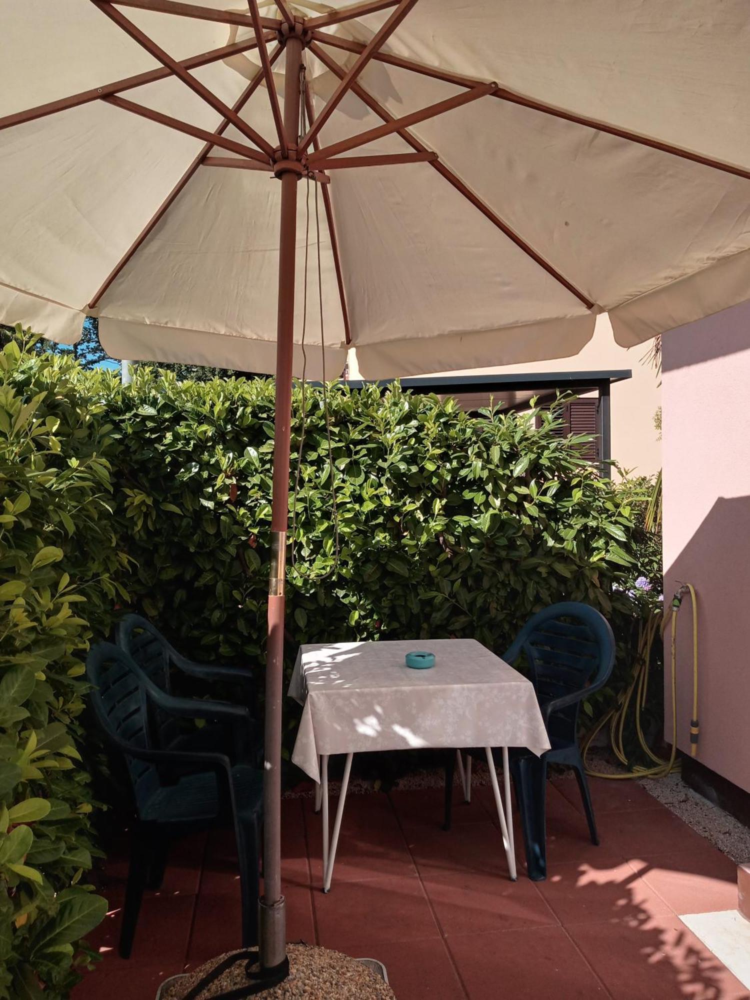 Sole 1 Apartment Novigrad  Exterior photo